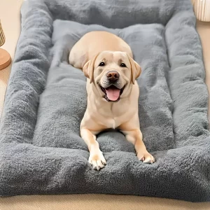Dog Pet Beds Extra Large