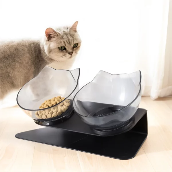 15° tilted cat drinking water feeding bowl