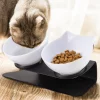 15° tilted cat drinking water feeding bowl