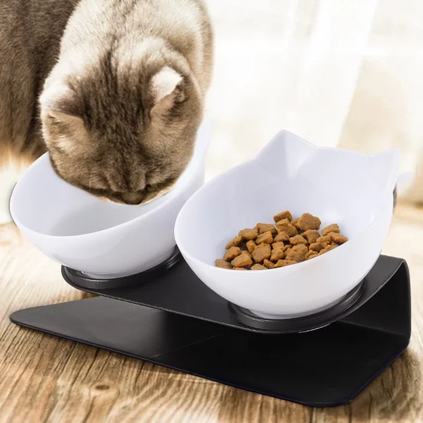 15° tilted cat drinking water feeding bowl