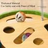 Cat Puzzle Maze