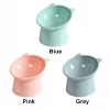 Tilted Cat Food Bowl