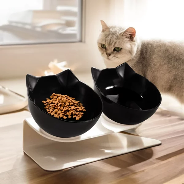 15° tilted cat drinking water feeding bowl