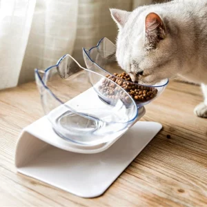 15° tilted cat drinking water feeding bowl