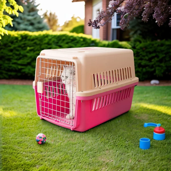 Portable Pet Air Box
