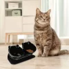 15° tilted cat drinking water feeding bowl
