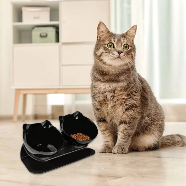 15° tilted cat drinking water feeding bowl
